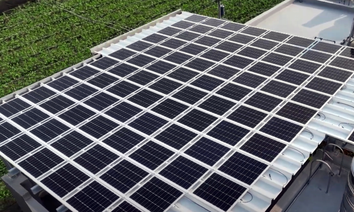 2026世界杯官网入口SunSteel光电浪板升级双玻结构，以提升机械负载强度及气候耐候度，可广泛运用于多元场域
