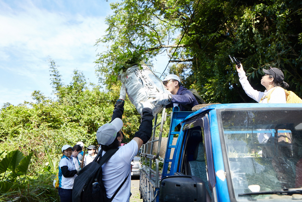 友達串聯志工組成水環境巡守隊，針對霄裡溪沿岸3公里的小花蔓澤蘭，定期進行移除與防治工作